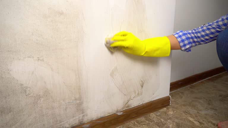 Best Biohazard Mold Removal  in Kentfield, CA